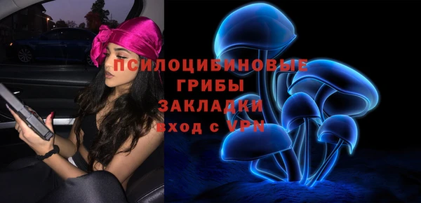 spice Алексин