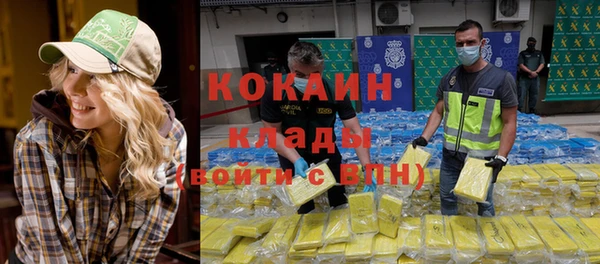 spice Алексин