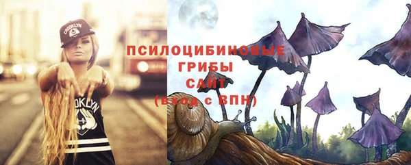 spice Алзамай