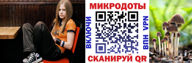 Псилоцибиновые грибы мицелий  Купить где  Куровское 